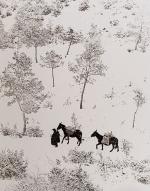 Koetzle, Augen Auf ! 100 Jahre Leica [German Jubilee edition]