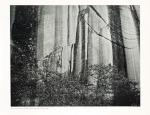 Philip Hyde / Bruce Berger, A Glen Canyon Portfolio [20 Vintage Photographs] / “There was a River”